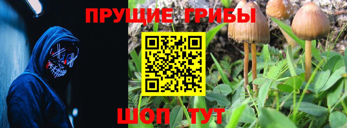 Шахты  Псилоцибиновые грибы GOLDEN TEACHER  Вход с VPN 